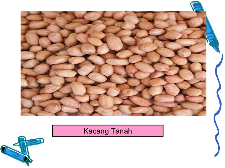 Pemilihan dan Penyimpanan Makanan Kering