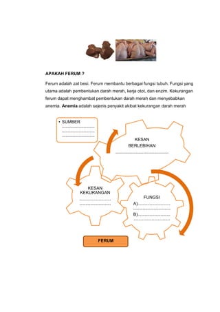 APAKAH FERUM ?

Ferum adalah zat besi. Ferum membantu berbagai fungsi tubuh. Fungsi yang
utama adalah pembentukan darah me...