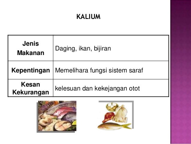 Makanan Sehat Untuk Anak Makanan Sehat Untuk Anak