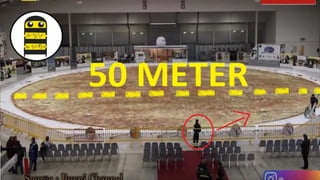 Makanan Terbesar Di Dunia Mencapai 50 Meter