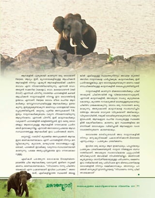 71Xma-cw-Ip-f-ßc aI-c-hn-f-°m-tLmj kvac-WnI 2017 71Xma-cw-Ip-f-ßc aI-c-hn-f-°m-tLmj kvac-WnI 2017
B-I-fn¬ ]pXp-Xmbn ImWp∂ Hcp tcmK-amWv
Herpes. BZyw CXv, arK-im-e-I-fn-ep≈ B{^n-°≥
B-I-fn¬ n∂pw Gjy≥ B-I-fn-tebv°v ]I¿∂-
Xmhmw F∂ nK-a--Øn-em-bn-cp-∂p. F∂m¬ tUm.
Acp¨ k°-dnb (tI-c-fw), tUm. Isse-hm-W≥ (X-an-
gvm-Sv) F∂n-h¿ ]n∂oSp S-Ønb ]T--ß-fn¬ I≠Xv
B{^n-°≥ m´m--I-fn¬ n∂√ Cu tcmK-Øns‚
D¤hw F∂m-Wv. Herpes tcmKw Xosc sNdnb B-
Iƒ°pw buΔmh-ÿ-bn-ep≈ B-Iƒ°pw D≠m-
Ip-∂p. CXp-aq-e-ap-≠m-Ip∂ ac-Whpw [mcm-f-ambn tcJ-
s∏-Sp-Øn-bn-´p-≠v. as‰mcp ]pXnb Akp-J-amWv T.B.
CXpw m´m--Iƒ°p-am{Xw hcp∂ Zo-sa-∂m-bn-cp∂p
BZy-n-K-a-w. F∂m¬ ]n∂o-Sv, CXv Im´m--Iƒ°pw
hcp-sa∂v ]T--ß-fn¬ sXfn-™n-´p-≠v. Cu c≠p tcmK-
ßfpw Btcm-Ky-ap≈ B-I-fn¬ Kuc-h-amb {]iv-
ßƒ D≠m-°p-∂n-√. F∂m¬ Am-tcm-Ky-]-c-amb Bhm-
k-ÿm--Øp≈ B-Iƒ°v Ch {]iv-ßƒ Xs∂.
sS‰-- v, dm_nkv XpS-ßnb Akp-J-ßƒ B-I-
fpsS ac-W-Im-c-W-amImw F∂v ]T--ß-fn¬ n∂pw a-
 n-em-Ip-∂p. IqSm-sX, eLp-hmb tcmK-ßfpw˛]√v,
sXmen, ]mZ-ßƒ Chbv°p hcp-∂h˛km[m-c-W-bmbn
ImWp-∂p. ]t£ AXy-]q¿Δ-amtb Ch Kuc-h-am-Im-
dp-≈q.
Fen-Iƒ ]c-Øp∂ tcmK-amb Encephalom-
yocarditis Nne B-Iƒ°p hcm-dp-≠v. CXns kq£n-
°-Ww; ac-W-Im-c-W-am-Imw. ""nhm-cWw ∂p NnIn-’-
tb-°mƒ F∂ {]am-W-am-Wv ChnsS {]k‡w''. AXm-
b-Xv, Fen-I-fn-√mØ ÿeØv As√-
¶n¬ Fen-I-fp≈ ÿe-Øp-n∂pw Ahsb XpcØn
AhnsS m´m--Isf ]m¿∏n-°p-I. Im´m--Iƒ°p CXv
{]iv-a-s√-¶n-epw, Cu tcmKaqe-ap-≠m-Ip∂ acWw Z£n-
Wm-{^n-°-bn-ep≈ Im´m--I-fn¬ tcJ-s∏-Sp-Øn-bn-´p-≠v.
m´m--I-fn¬ ImWp∂ an°-tcm-K-ßƒ°pw NnIn-
’-bp-≠v. NnIn-’-bn¬ √ hnP-b-i-X-am--hp-ap-≠v.
F∂m¬ Im´m--I-fn¬, Ah-bpsS kwJy IqSp-X-em-I-
sIm-≠pw, Ipd™ kuI-cy-ßƒ am{X-ap-≈-Xp-sIm≠pw
NnIn’ {ia-I-c-am-Ip-∂p. tcmKw Hcp km[m-cW Imcy-
am-Ip-∂p. AXp-sIm≠v Im´m--Isf kw_-‘n-®n-S-
tØmfw Ahsb shdpsX hnSp-I-bmWv A`n-Im-ayw.
hnZq-c-`m-hn-bn¬, ap°v tijn-bp-≠m-Ip-tºmƒ, ΩpsS
CS-s]-S¬, B-I-fpsS sNdnb kwJy-bp≈ ÿe-ß-
fn¬ tI{μo-I-cn-°mw. Imc-Ww, Cu ÿe-ß-fnse ac-
W-n-c°v tcmKw-aqew h¿≤n-®m¬ B-I-fpsS hwi-
m-i-ØnpXs∂ Imc-W-am-Ipw.
tcmKsØ tcn-Sp-tºmƒ Ah m´m--I-fn¬
n∂pw ap-jy-cn-te°v ]I-cm-Xn-cn-°m≥˛Zoonosis
F∂p-]-dbpw ˛ {]tXyIw {i≤n-°-Ww.
ChnsS Hcp Imcyw B DS-a-ÿ-cpw, ]m∏m-∑mcpw
{]tXyIw {i≤n-t°-≠-Xp-≠v. m´m nß-fpsS _‘-
-Øn-em-Wv. Ah-bpsS kzm`m-hn-I-amb Np‰p-]m-Sn¬
Pohn-°p-hm≥ Ahbv°v nh¿Øn-bn-√m. AXn-m¬
IrXy-ambpw imkv{Xo-b-am-bp-ap≈ ]cn-N-c-Ww, `£Ww
Ch ¬In-bm¬ Hcp ]cn-[n-hsc Cu an≠m-{]m-Wn-Isf
tcmK-ß-fn¬ n∂pw c£n-°m-m-Ipw. RmmZyw ]d-
™Xv H∂pIqSn Du∂n-∏-d-bs´ ""nhm-cWw ∂p NnIn-
’-tb-°mƒ''
..............................................................................................................
 