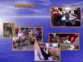 Makarska - Os Petra Perice | PPT