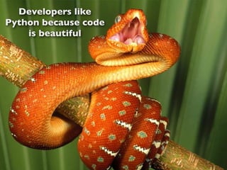 Make beautiful Python code | PDF