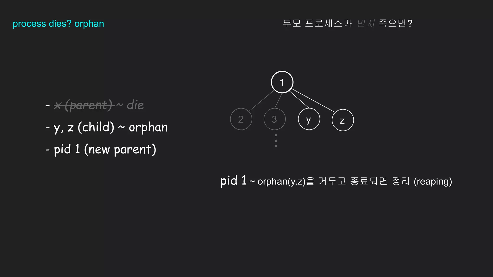 process dies? orphan
- x (parent) ~ die
- y, z (child) ~ orphan
- pid 1 (new parent)
1
2 3 y z
...
부모 프로세스가 먼저 죽으면?
pid 1 ~ orphan(y,z)을 거두고 종료되면 정리 (reaping)
 