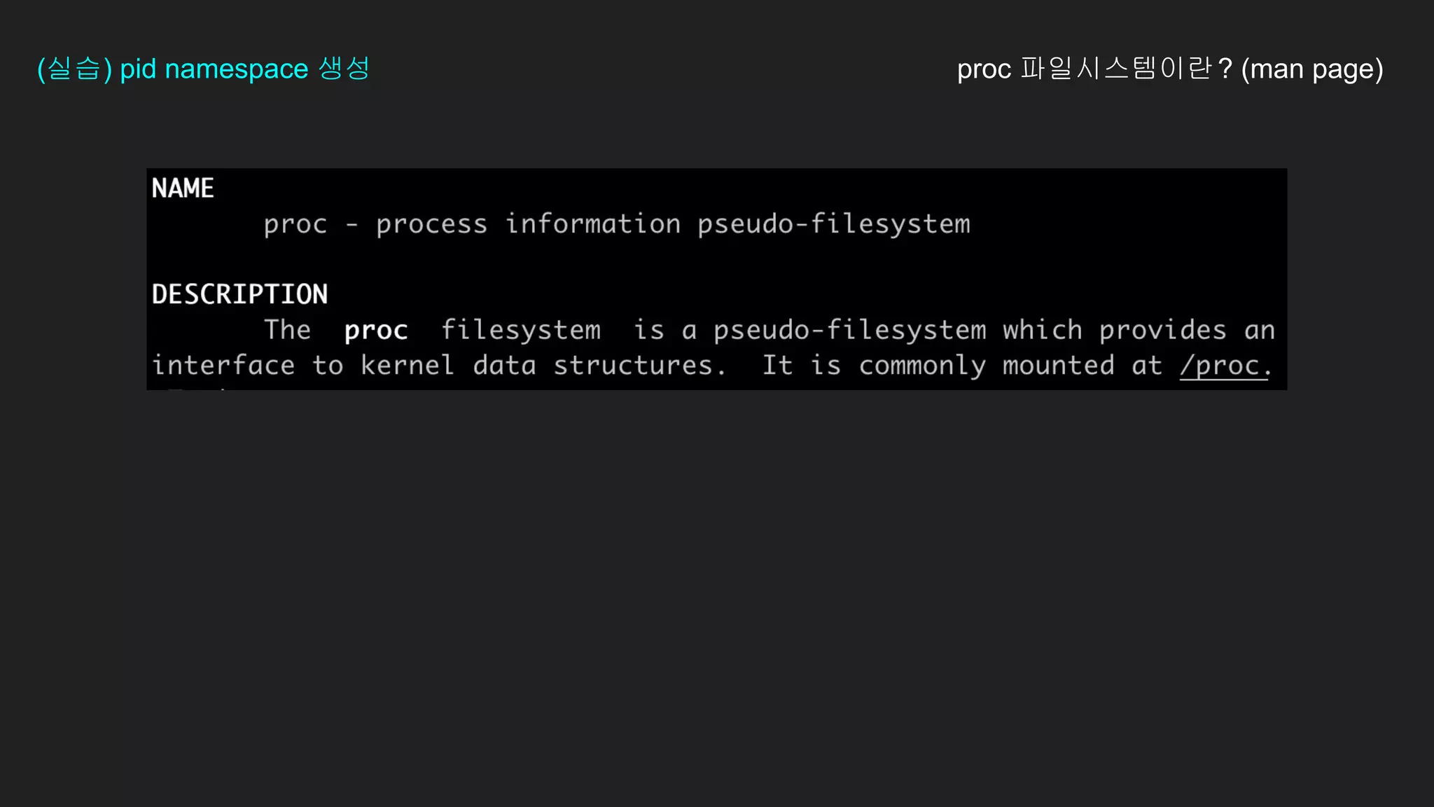 proc 파일시스템이란? (man page)
(실습) pid namespace 생성
 