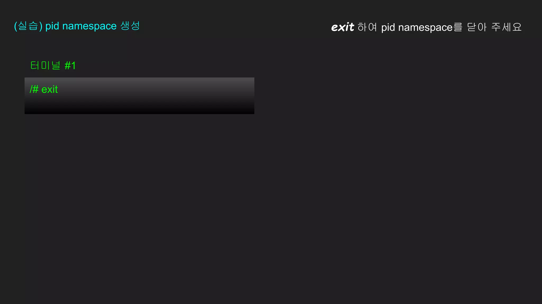 터미널 #1
/# exit
(실습) pid namespace 생성 exit 하여 pid namespace를 닫아 주세요
 