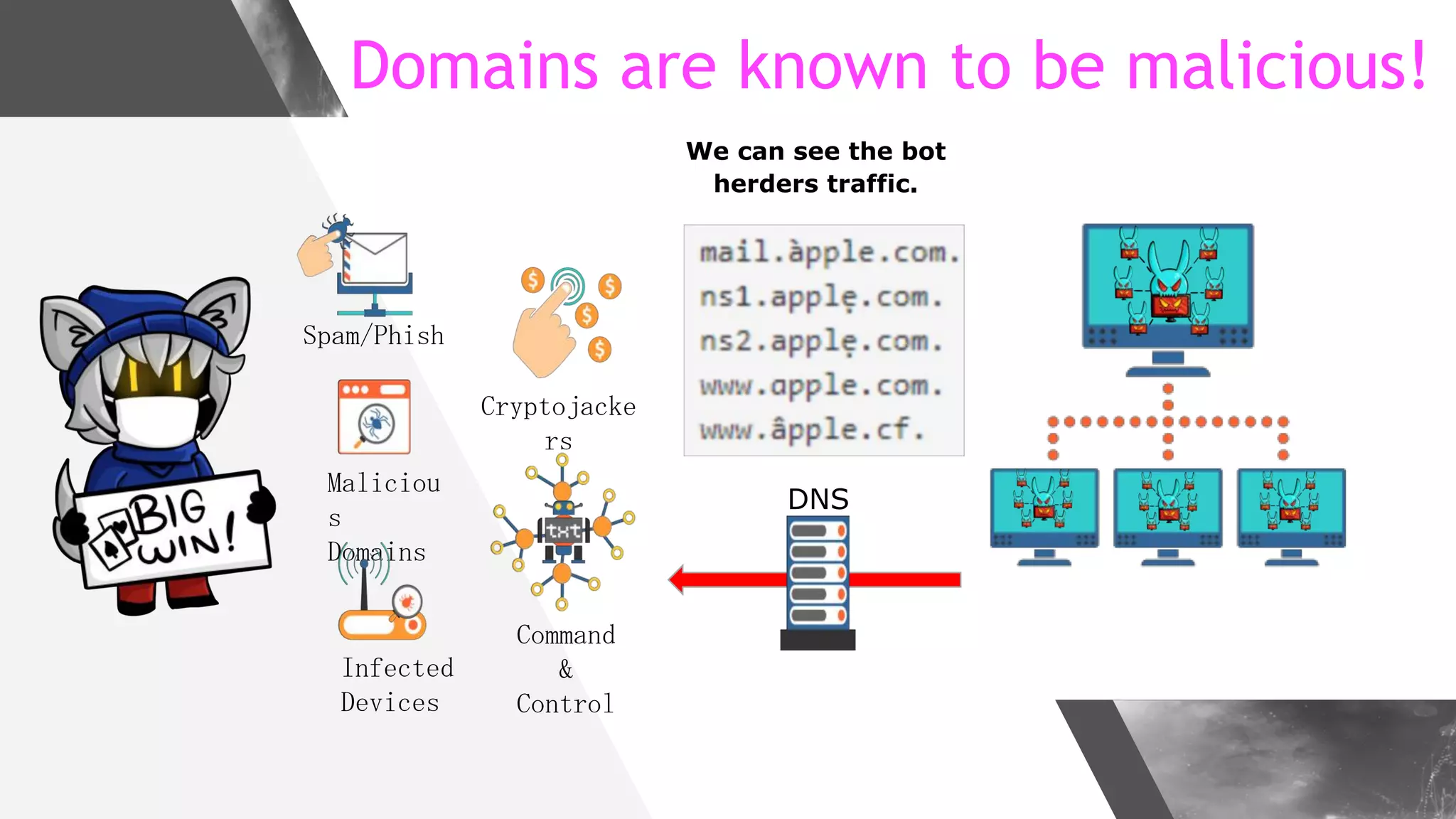 We can see the bot
herders traffic.
Domains are known to be malicious!
& 	
/
DNS
 