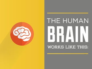 brain
THE HUMAN

works like this:

 