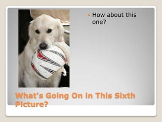    How about this
                     one?




What's Going On in This Sixth
Picture?
 