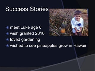 Success Stories
 meet Luke age 6
 wish granted 2010
 loved gardening
 wished to see pineapples grow in Hawaii
 