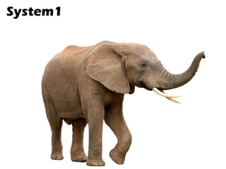 System1
 