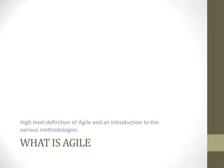 High level definition of Agile and an introduction to the
various methodologies.

WHAT IS AGILE
 