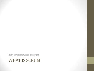 High level overview of Scrum

WHAT IS SCRUM
 