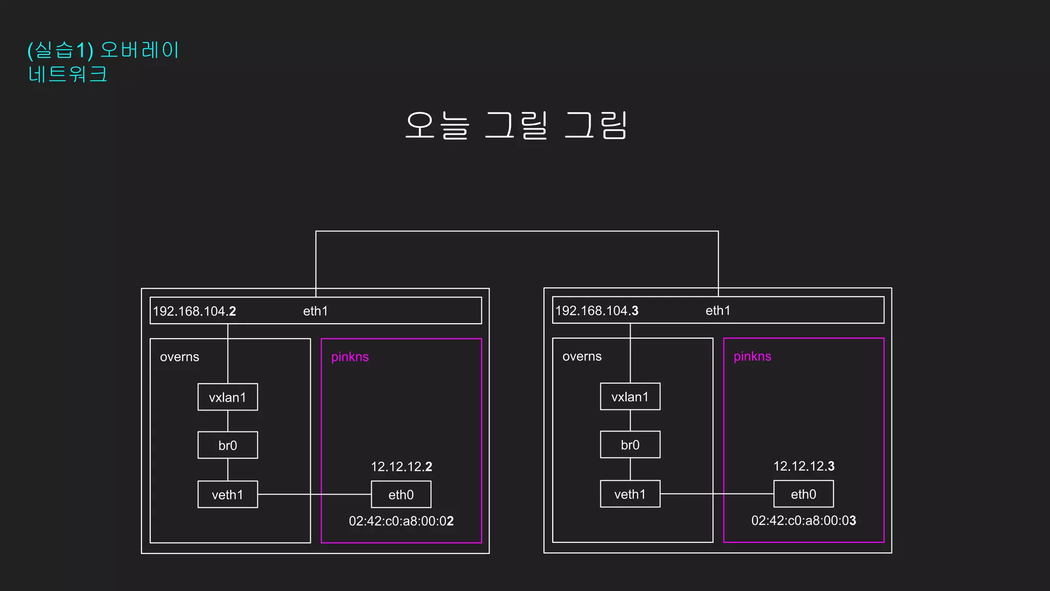 eth1
192.168.104.2
pinkns
12.12.12.2
02:42:c0:a8:00:02
오늘 그릴 그림
overns
eth0
veth1
br0
vxlan1
eth1
pinkns
12.12.12.3
02:42:c0:a8:00:03
192.168.104.3
overns
eth0
veth1
br0
vxlan1
(실습1) 오버레이
네트워크
 