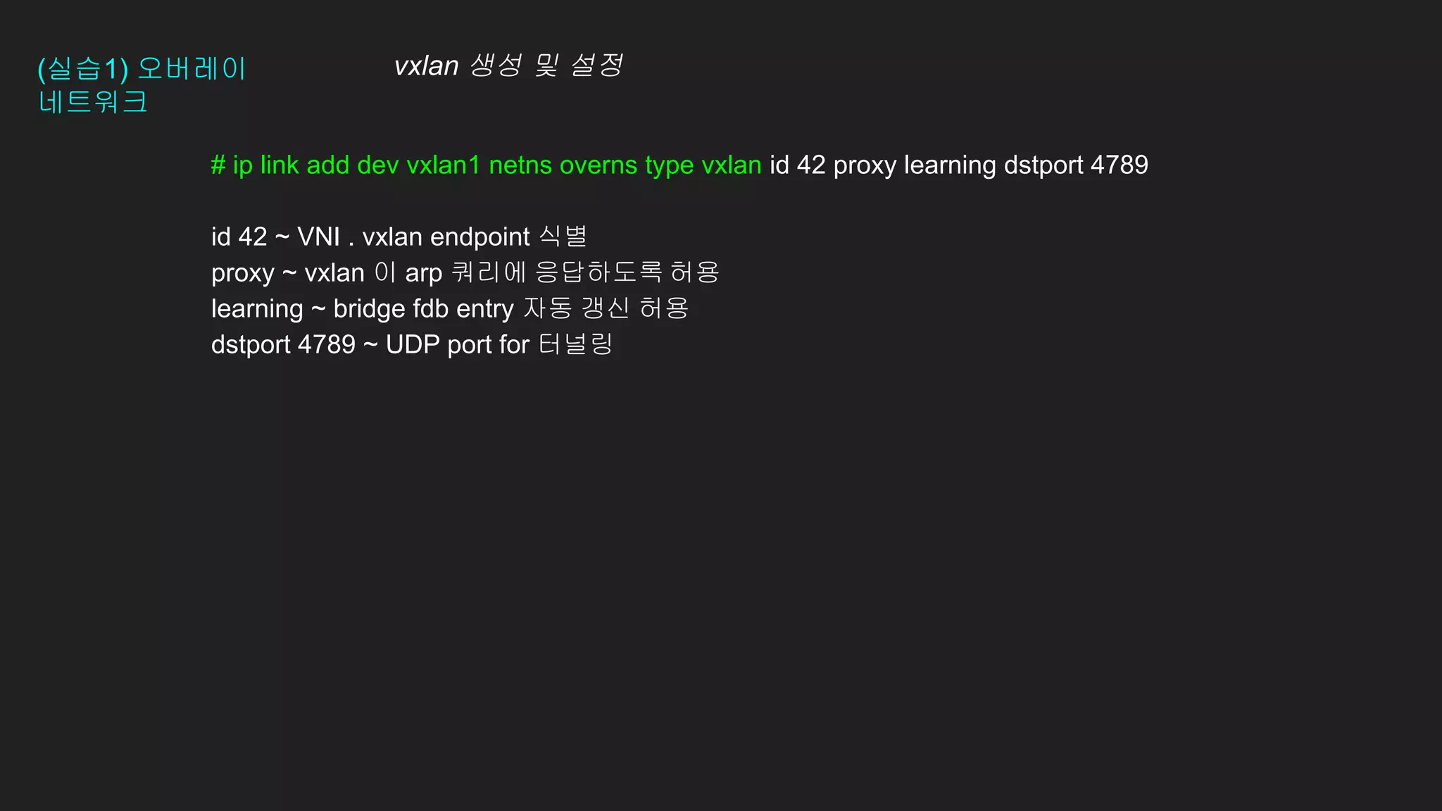 (실습1) 오버레이
네트워크
# ip link add dev vxlan1 netns overns type vxlan id 42 proxy learning dstport 4789
id 42 ~ VNI . vxlan endpoint 식별
proxy ~ vxlan 이 arp 쿼리에 응답하도록 허용
learning ~ bridge fdb entry 자동 갱신 허용
dstport 4789 ~ UDP port for 터널링
vxlan 생성 및 설정
 