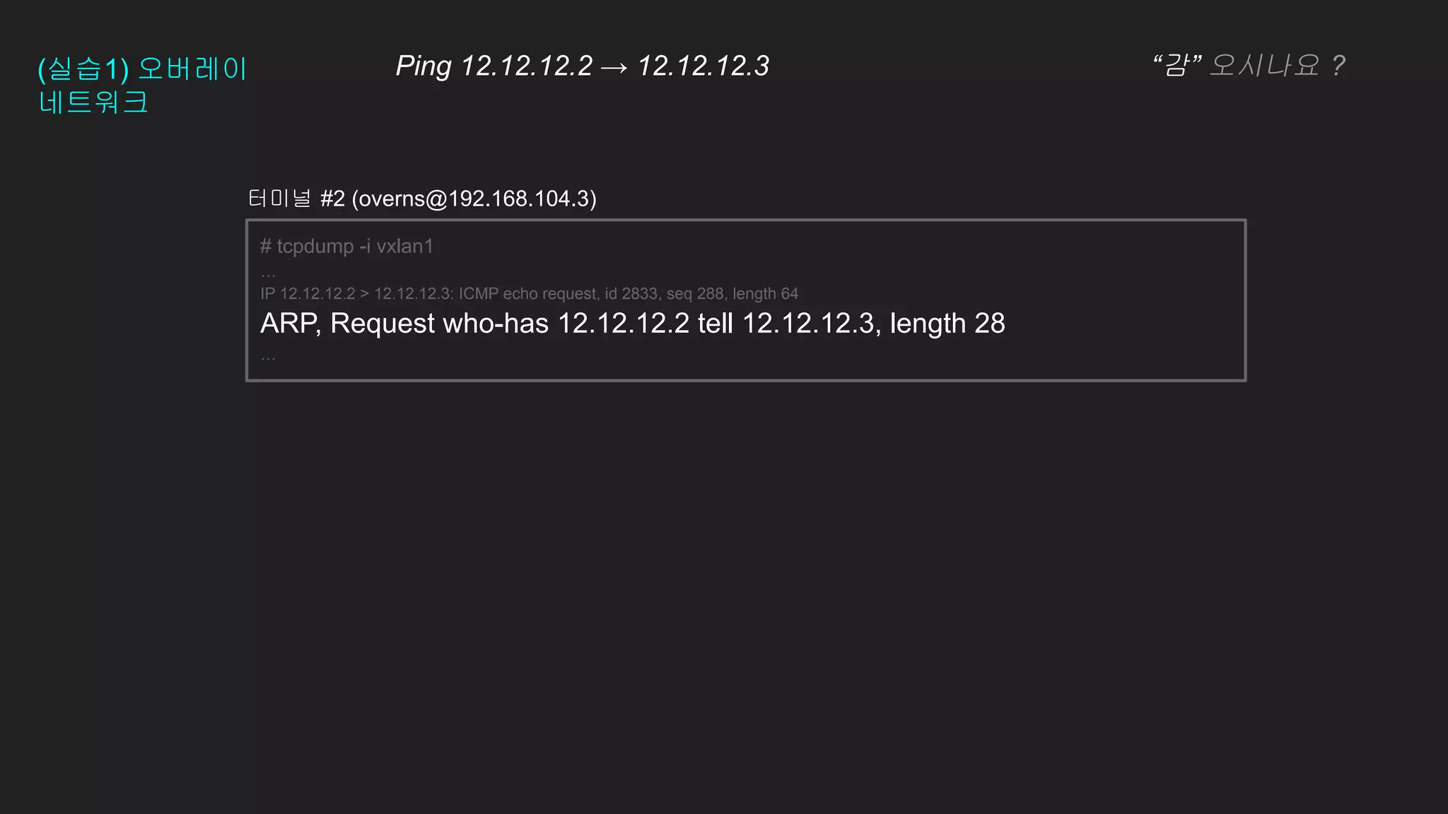 터미널 #2 (overns@192.168.104.3)
# tcpdump -i vxlan1
…
IP 12.12.12.2 > 12.12.12.3: ICMP echo request, id 2833, seq 288, length 64
ARP, Request who-has 12.12.12.2 tell 12.12.12.3, length 28
…
(실습1) 오버레이
네트워크
Ping 12.12.12.2 → 12.12.12.3 “감” 오시나요 ?
 