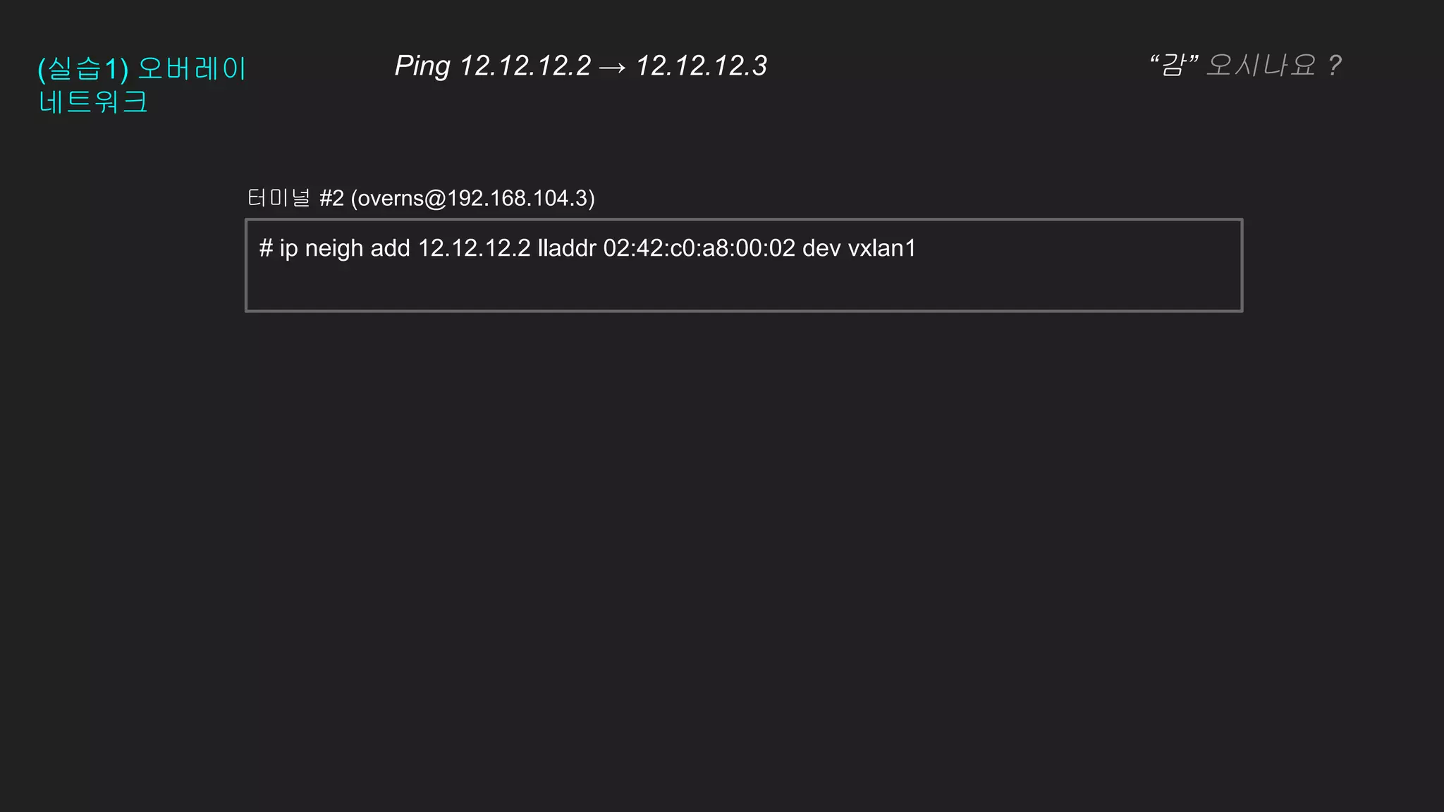 터미널 #2 (overns@192.168.104.3)
# ip neigh add 12.12.12.2 lladdr 02:42:c0:a8:00:02 dev vxlan1
(실습1) 오버레이
네트워크
Ping 12.12.12.2 → 12.12.12.3 “감” 오시나요 ?
 