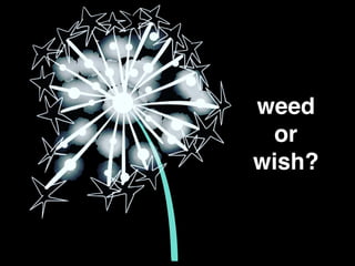 weed
or
wish?
 