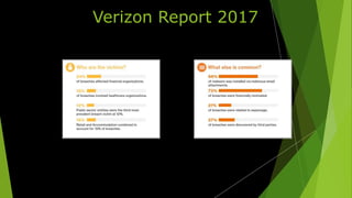 Verizon Report 2017
 