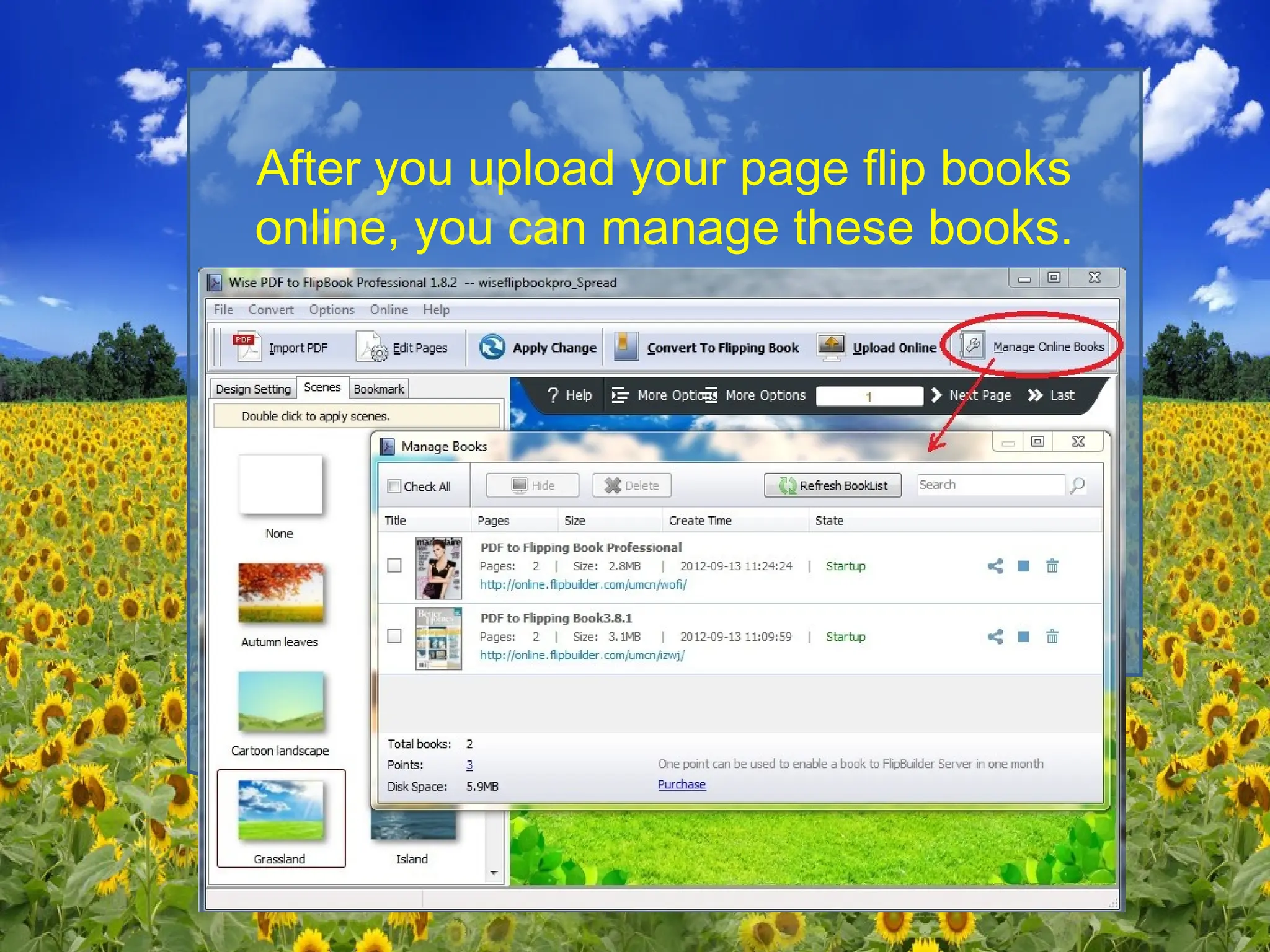 After you upload your page flip books
online, you can manage these books.