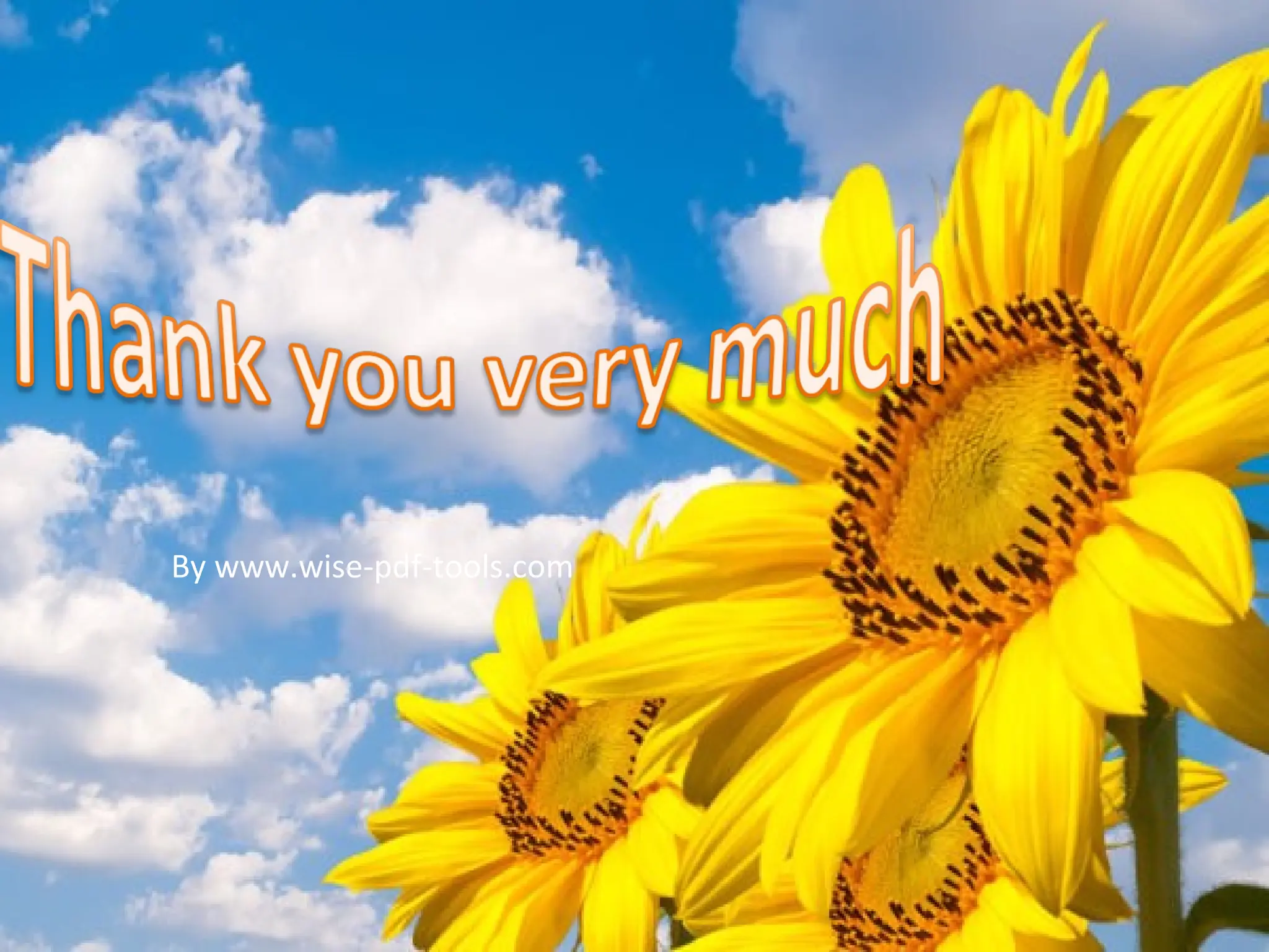 By www.wise-pdf-tools.com