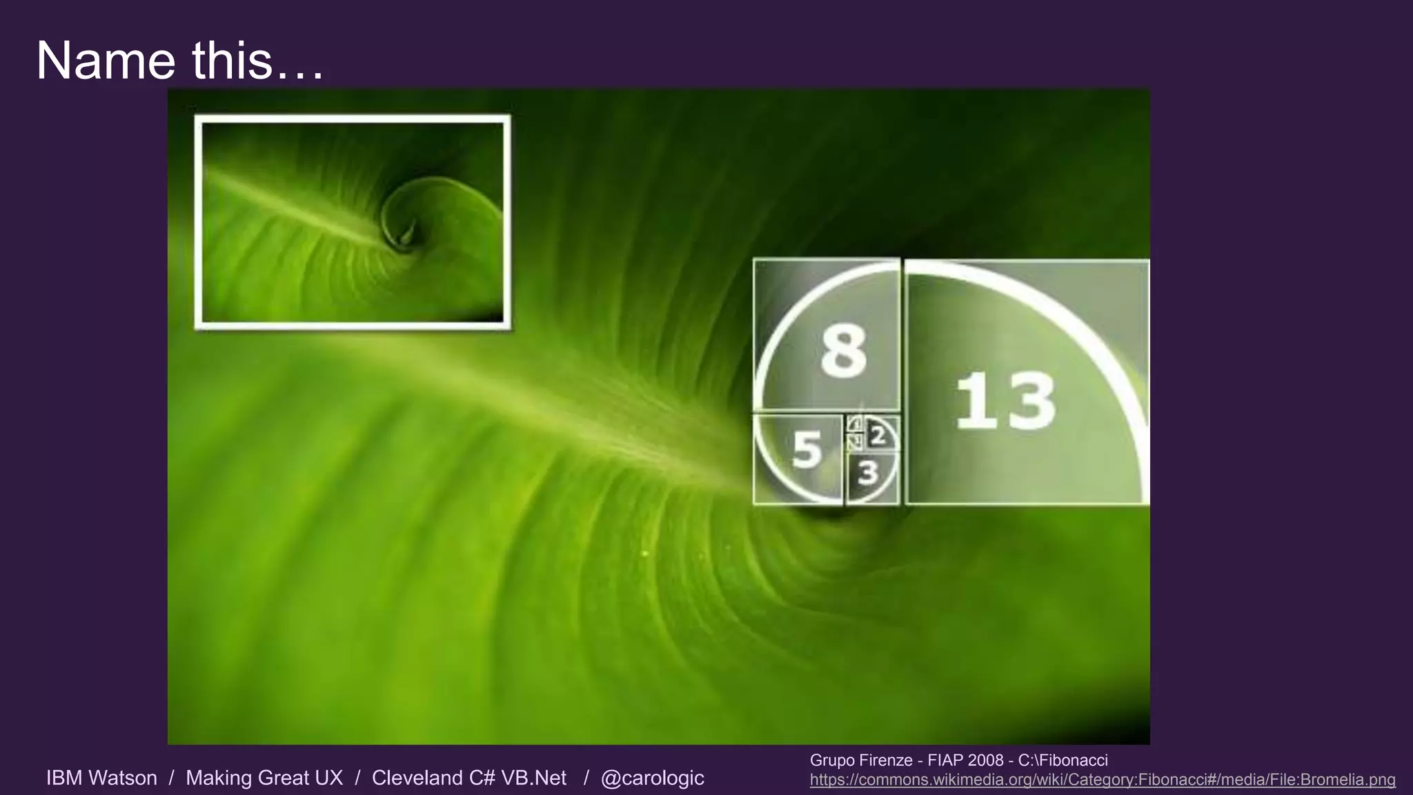 IBM Watson / Making Great UX / Cleveland C# VB.Net / @carologic
Name this…
Grupo Firenze - FIAP 2008 - C:Fibonacci
https://commons.wikimedia.org/wiki/Category:Fibonacci#/media/File:Bromelia.png
 