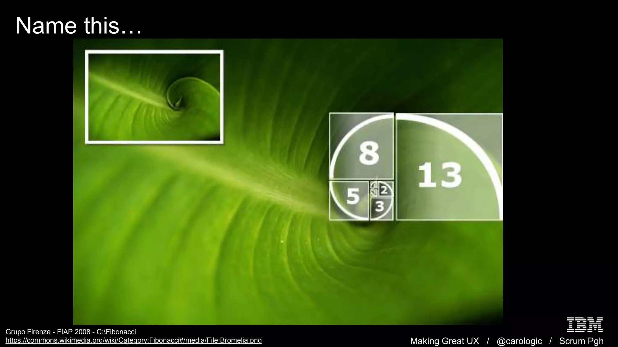 Making Great UX / @carologic / Scrum Pgh
Name this…
Grupo Firenze - FIAP 2008 - C:Fibonacci
https://commons.wikimedia.org/wiki/Category:Fibonacci#/media/File:Bromelia.png
 