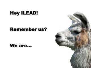Hey ILEAD!
Remember us?
We are…
 