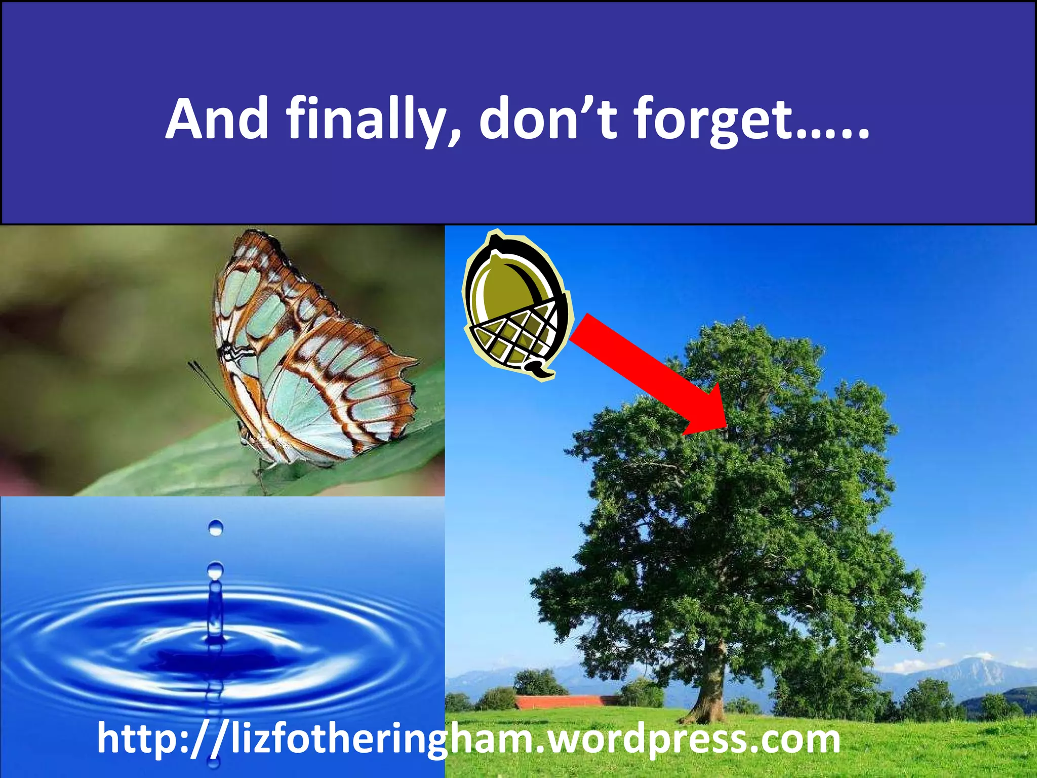 And finally, don’t forget….. http://lizfotheringham.wordpress.com 