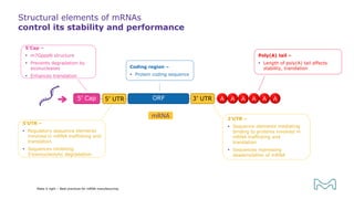 Structural elements of mRNAs
control its stability and performance
5’ UTR ORF 3’ UTR
5’ Cap A A A A A A
5‘Cap –
 m7GpppN structure
 Prevents degradation by
exonucleases
 Enhances translation
5‘UTR –
 Regulatory sequence elements
involved in mRNA trafficking and
translation
 Sequences inhibiting
5‘exonucleolytic degradation
Coding region –
 Protein coding sequence
3‘UTR –
 Sequence elements mediating
binding to proteins involved in
mRNA trafficking and
translation
 Sequences repressing
deadenylation of mRNA
Poly(A) tail –
 Length of poly(A) tail affects
stability, translation
Make it right – Best practices for mRNA manufacturing
mRNA
 