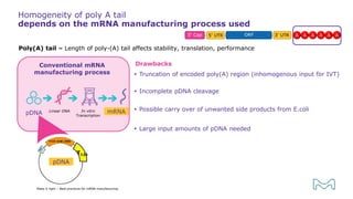 In vitro
Transcription
Linear DNA
pDNA
Homogeneity of poly A tail
depends on the mRNA manufacturing process used
Make it right – Best practices for mRNA manufacturing
Poly(A) tail – Length of poly-(A) tail affects stability, translation, performance
Drawbacks
 Truncation of encoded poly(A) region (inhomogenous input for IVT)
 Incomplete pDNA cleavage
 Possible carry over of unwanted side products from E.coli
 Large input amounts of pDNA needed
Conventional mRNA
manufacturing process
T120
pDNA
mRNA
 
