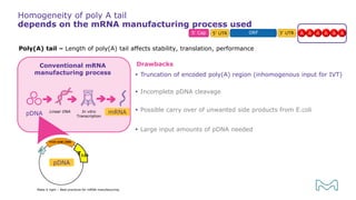 In vitro
Transcription
Linear DNA
pDNA
Homogeneity of poly A tail
depends on the mRNA manufacturing process used
Make it right – Best practices for mRNA manufacturing
Poly(A) tail – Length of poly(A) tail affects stability, translation, performance
Drawbacks
 Truncation of encoded poly(A) region (inhomogenous input for IVT)
 Incomplete pDNA cleavage
 Possible carry over of unwanted side products from E.coli
 Large input amounts of pDNA needed
Conventional mRNA
manufacturing process
T120
pDNA
mRNA
 