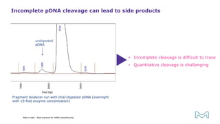 Incomplete pDNA cleavage can lead to side products
Make it right – Best practices for mRNA manufacturing
Fragment Analyzer run with DraI-digested pDNA (overnight
with 10-fold enzyme concentration)
undigested
pDNA
• Incomplete cleavage is difficult to trace
• Quantitative cleavage is challenging
 