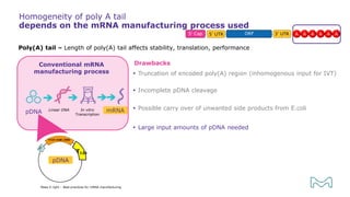In vitro
Transcription
Linear DNA
pDNA
Homogeneity of poly A tail
depends on the mRNA manufacturing process used
Make it right – Best practices for mRNA manufacturing
Poly(A) tail – Length of poly(A) tail affects stability, translation, performance
Drawbacks
 Truncation of encoded poly(A) region (inhomogenous input for IVT)
 Incomplete pDNA cleavage
 Possible carry over of unwanted side products from E.coli
 Large input amounts of pDNA needed
Conventional mRNA
manufacturing process
T120
pDNA
mRNA
 