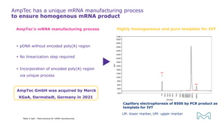  pDNA without encoded poly(A) region
 No linearization step required
 Incorporation of encoded poly(A) region
via unique process
AmpTec’s mRNA manufacturing process Highly homogeneous and pure template for IVT
AmpTec has a unique mRNA manufacturing process
to ensure homogenous mRNA product
Capillary electrophoresis of 8500 bp PCR product as
template for IVT
LM: lower marker, UM: upper marker
AmpTec GmbH was acquired by Merck
KGaA, Darmstadt, Germany in 2021
Make it right – Best practices for mRNA manufacturing
 