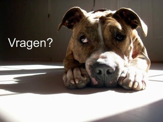 Vragen?
 