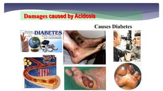 High Uric Acid causes Gout problem
Damages caused by Acidosis
 