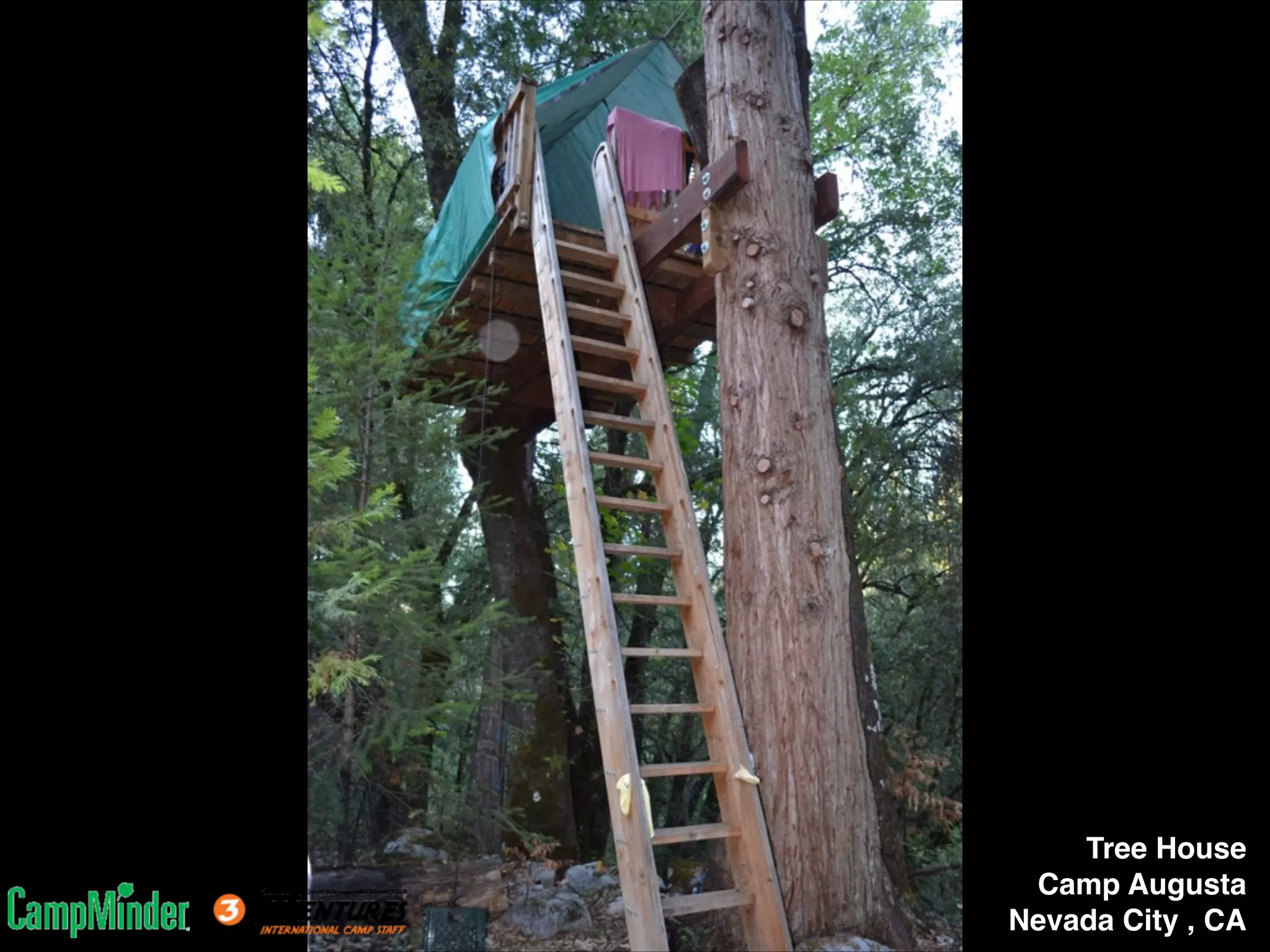 Tree House!
Camp Augusta!
Nevada City , CA

 