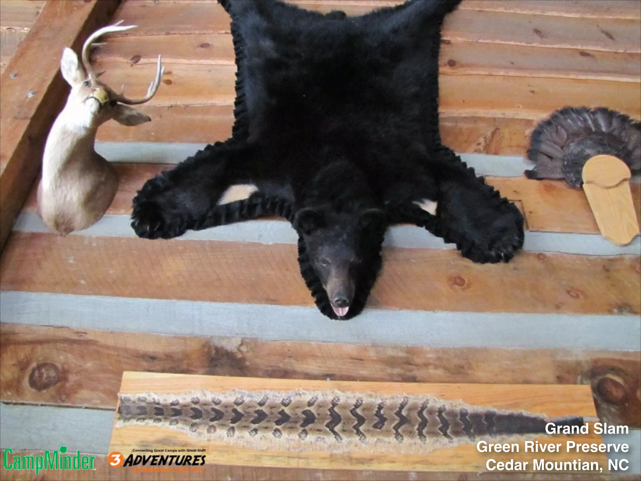 Grand Slam!
Green River Preserve!
Cedar Mountian, NC

 