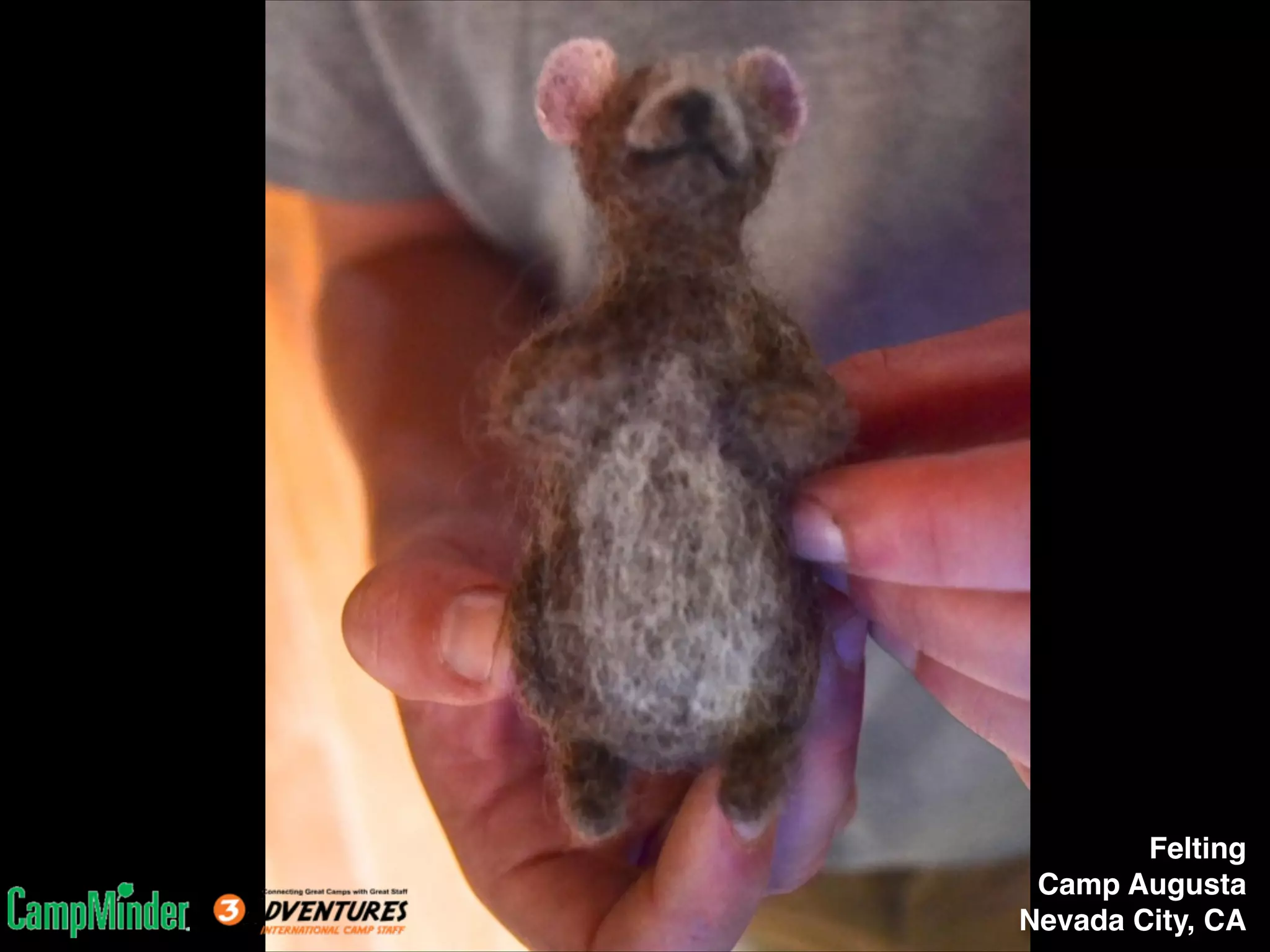 Felting!
Camp Augusta!
Nevada City, CA

 