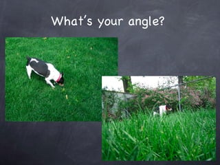 Whats your angle? 