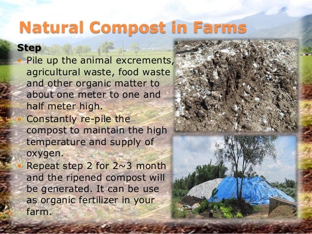 Natural Compost in Farms
Step
Pile up the animal excrements,
agricultural waste, food waste
and other organic matter to
...