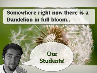 Somewhere right now there is a
Dandelion in full bloom..
OurOur
Students!Students!
 