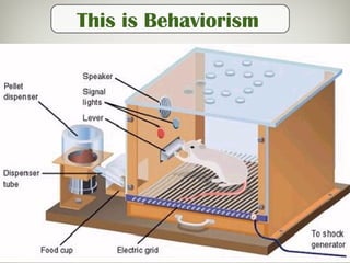 This is Behaviorism
 