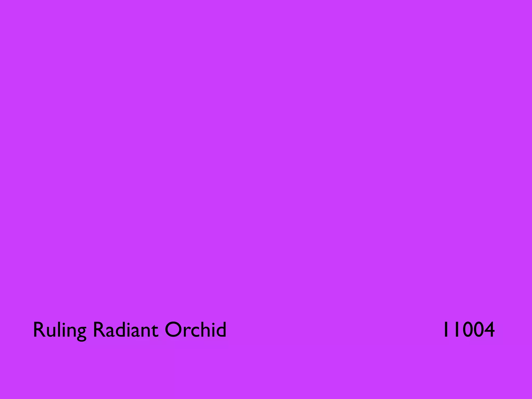 Ruling Radiant Orchid   11004
 
