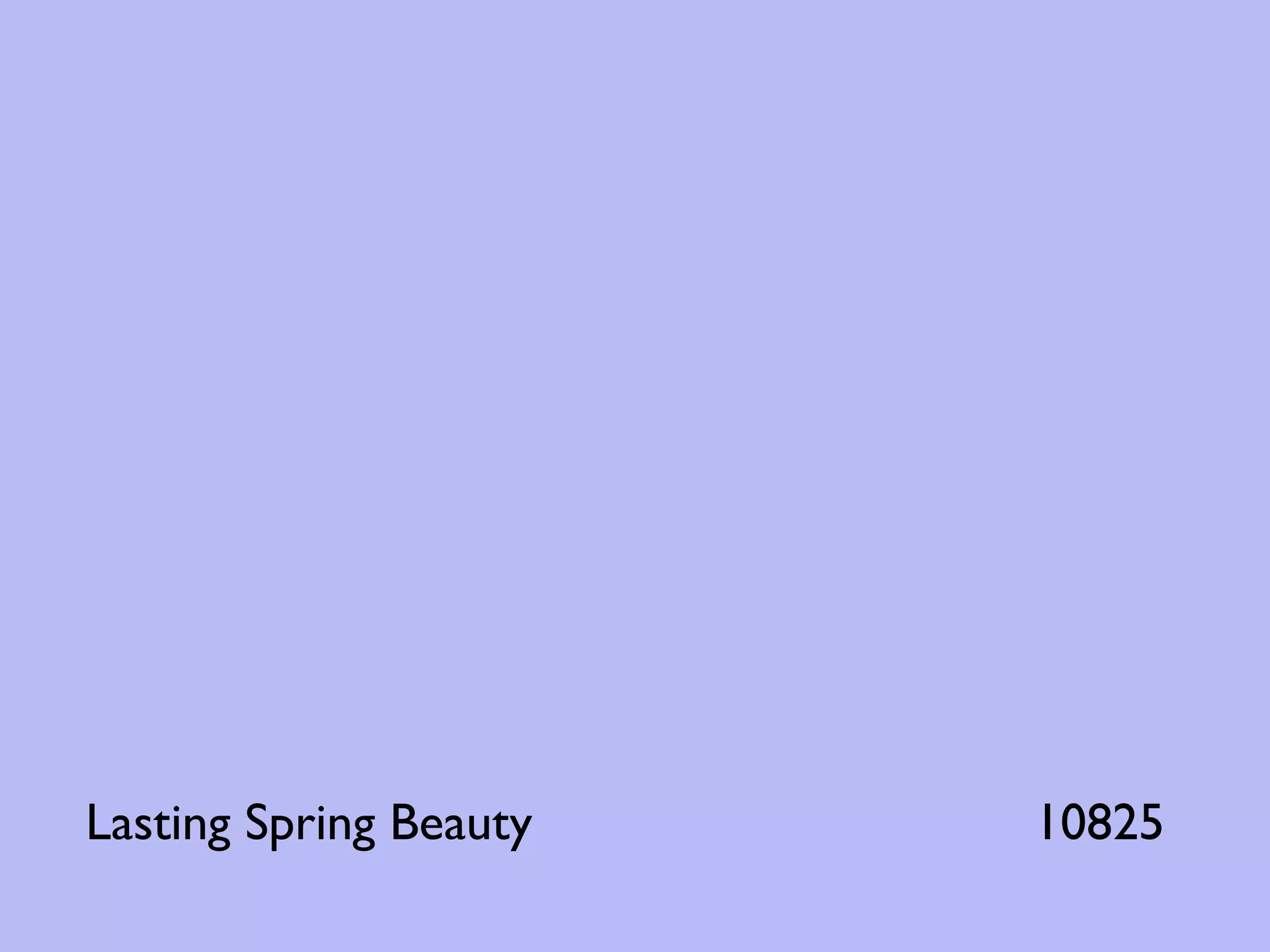 Lasting Spring Beauty   10825
 