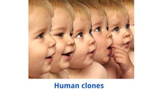 Human clones
 