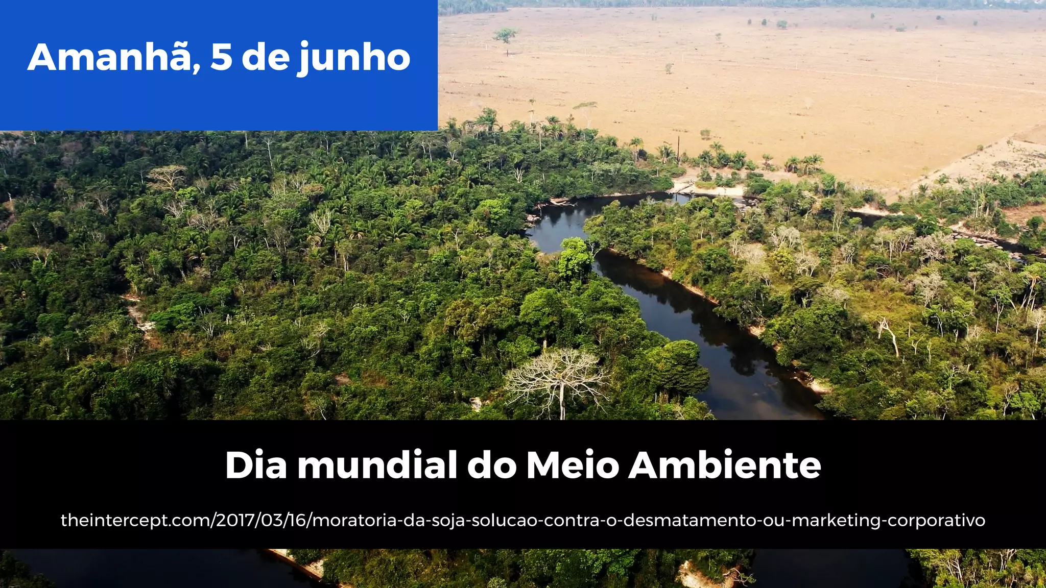 Amanhã, 5 de junho
Dia mundial do Meio Ambiente
theintercept.com/2017/03/16/moratoria-da-soja-solucao-contra-o-desmatamento-ou-marketing-corporativo
 