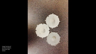 Image Courtesy of
Ida Mae Craddock,
Monticello High
School
 