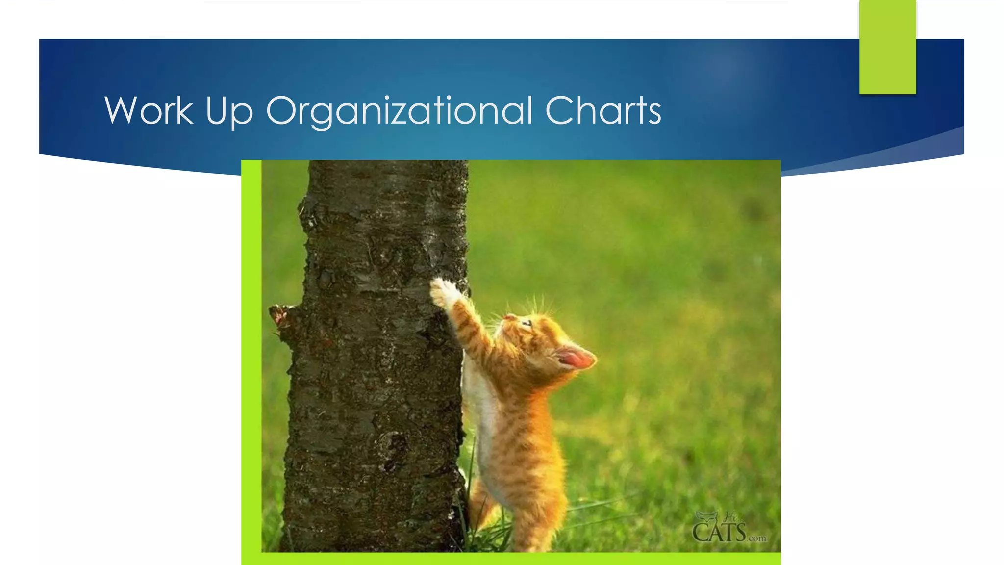 Work Up Organizational Charts
 